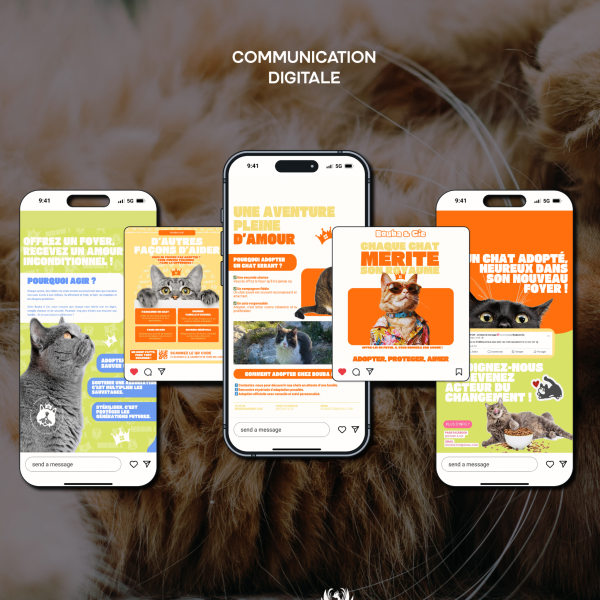 5 Accompagnement réseaux sociaux